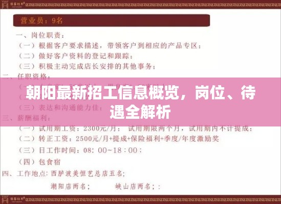朝阳最新招工信息概览，岗位、待遇全解析