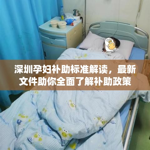 深圳孕妇补助标准解读，最新文件助你全面了解补助政策