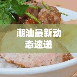 潮汕最新动态速递