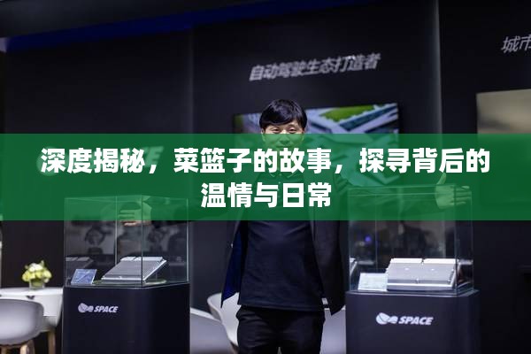 深度揭秘，菜篮子的故事，探寻背后的温情与日常
