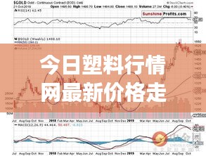 今日塑料行情网最新价格走势分析及未来展望