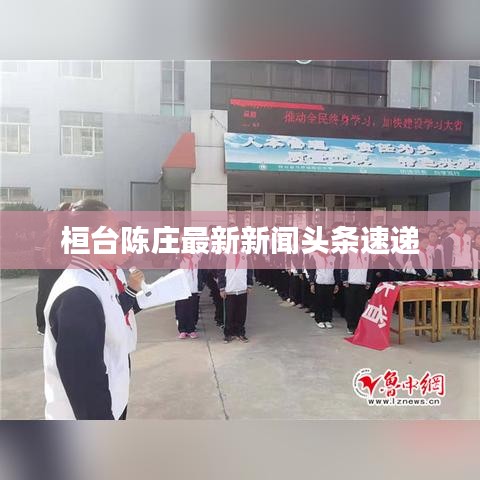 桓台陈庄最新新闻头条速递