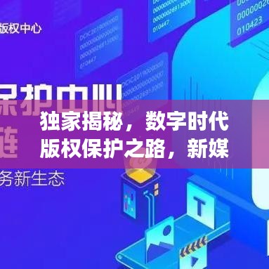 独家揭秘，数字时代版权保护之路，新媒体版权归属大探讨