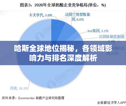 哈斯全球地位揭秘，各领域影响力与排名深度解析