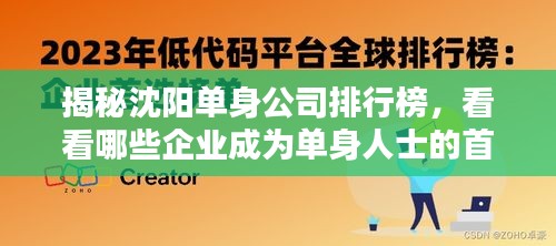 揭秘沈阳单身公司排行榜，看看哪些企业成为单身人士的首选！