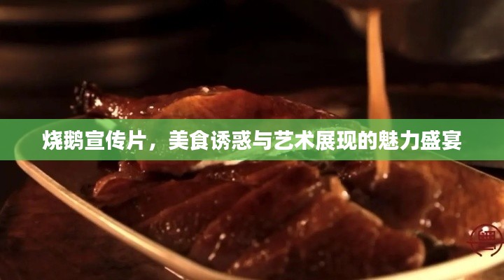 烧鹅宣传片，美食诱惑与艺术展现的魅力盛宴