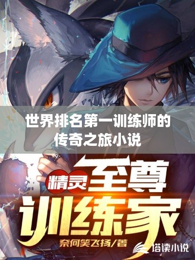 世界排名第一训练师的传奇之旅小说