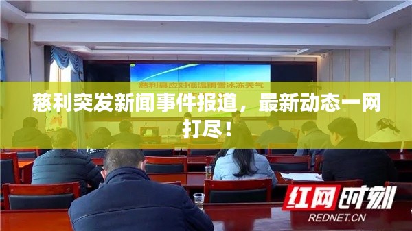 慈利突发新闻事件报道，最新动态一网打尽！