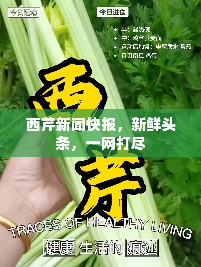 西芹新闻快报，新鲜头条，一网打尽