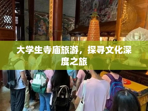 大学生寺庙旅游，探寻文化深度之旅