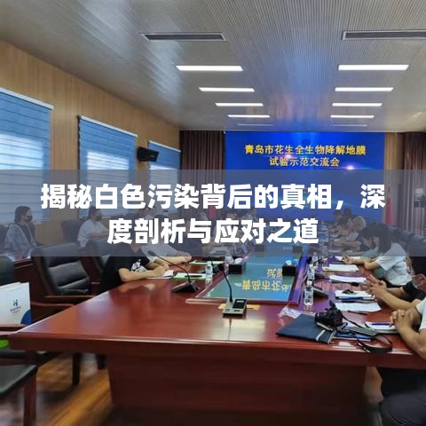 揭秘白色污染背后的真相，深度剖析与应对之道