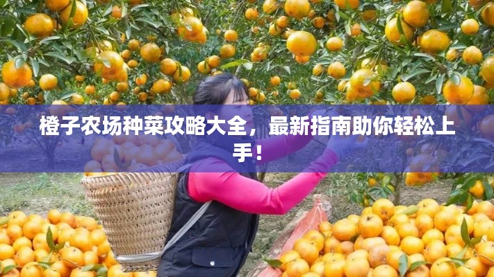 橙子农场种菜攻略大全，最新指南助你轻松上手！