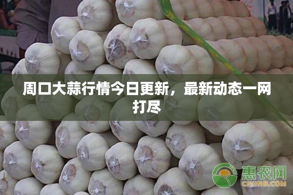 周口大蒜行情今日更新，最新动态一网打尽