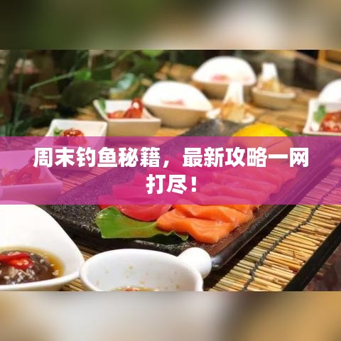 周末钓鱼秘籍，最新攻略一网打尽！