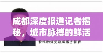成都深度报道记者揭秘，城市脉搏的鲜活记录