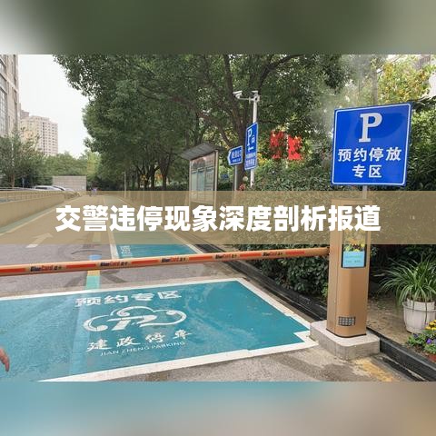 交警违停现象深度剖析报道