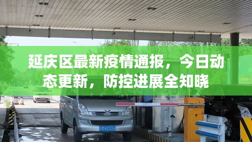 延庆区最新疫情通报，今日动态更新，防控进展全知晓