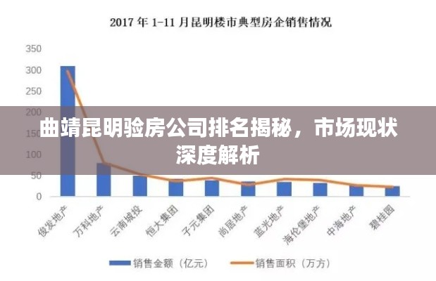 曲靖昆明验房公司排名揭秘，市场现状深度解析