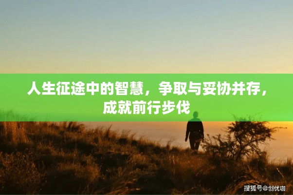 人生征途中的智慧，争取与妥协并存，成就前行步伐