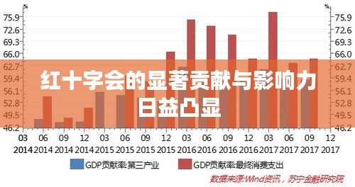 红十字会的显著贡献与影响力日益凸显