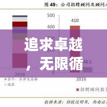 追求卓越，无限循环，不断实现中的成长之路