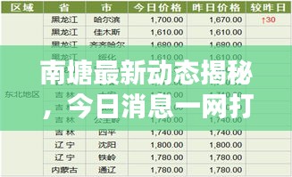 南塘最新动态揭秘，今日消息一网打尽！