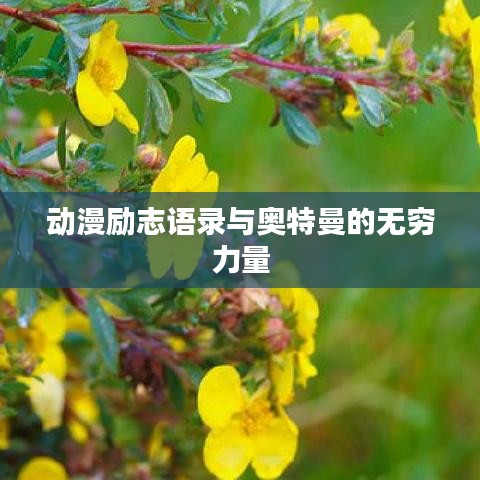 动漫励志语录与奥特曼的无穷力量