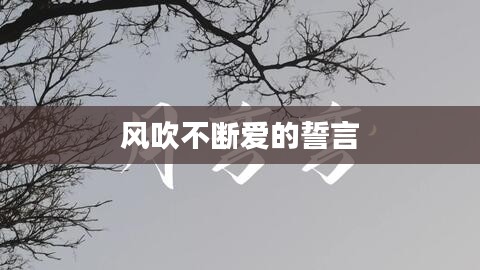 风吹不断爱的誓言