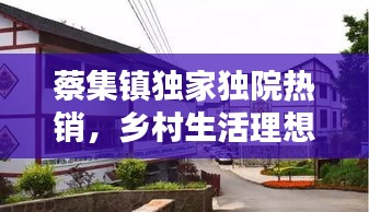蔡集镇独家独院热销，乡村生活理想居所新选择