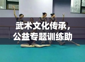 武术文化传承，公益专题训练助力新人培育