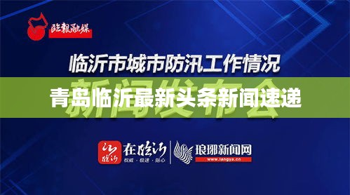 青岛临沂最新头条新闻速递