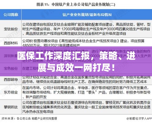 医保工作深度汇报，策略、进展与成效一网打尽！