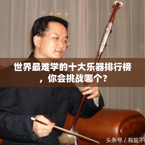 世界最难学的十大乐器排行榜，你会挑战哪个？
