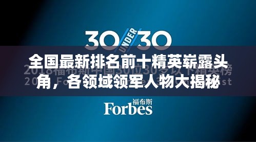 全国最新排名前十精英崭露头角，各领域领军人物大揭秘