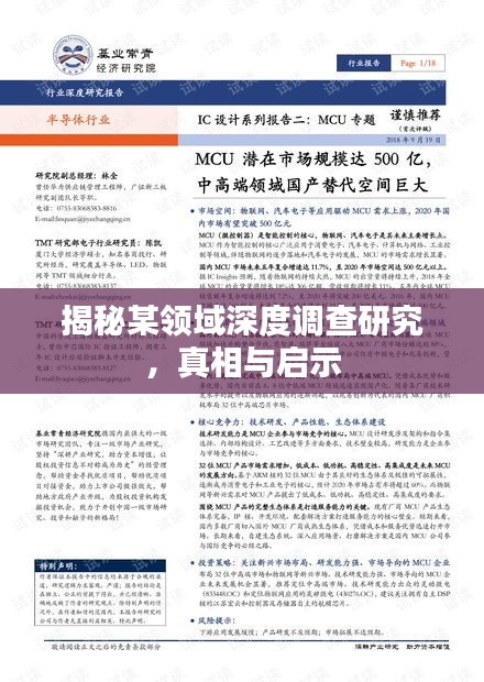 揭秘某领域深度调查研究，真相与启示