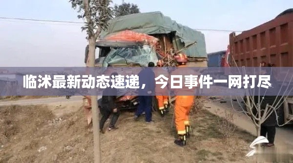 临沭最新动态速递，今日事件一网打尽