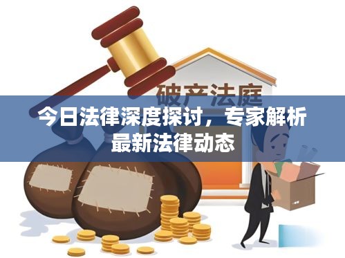 今日法律深度探讨，专家解析最新法律动态