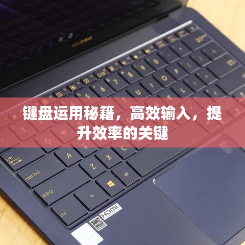 键盘运用秘籍，高效输入，提升效率的关键