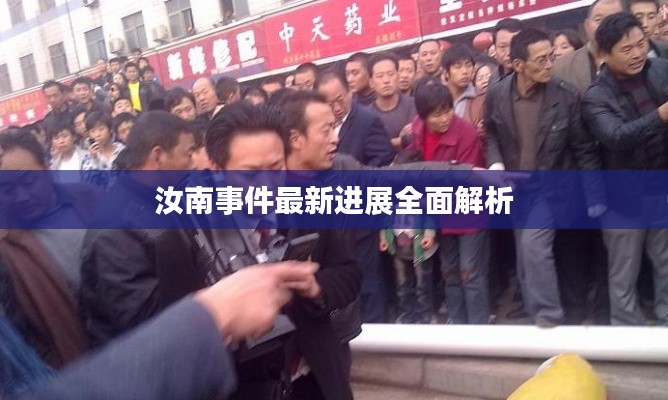 汝南事件最新进展全面解析
