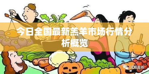 今日全国最新羔羊市场行情分析概览
