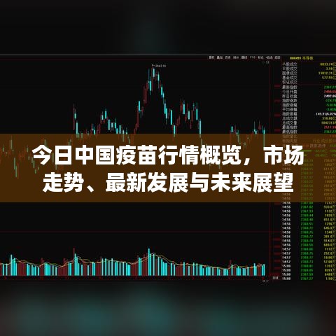 今日中国疫苗行情概览，市场走势、最新发展与未来展望