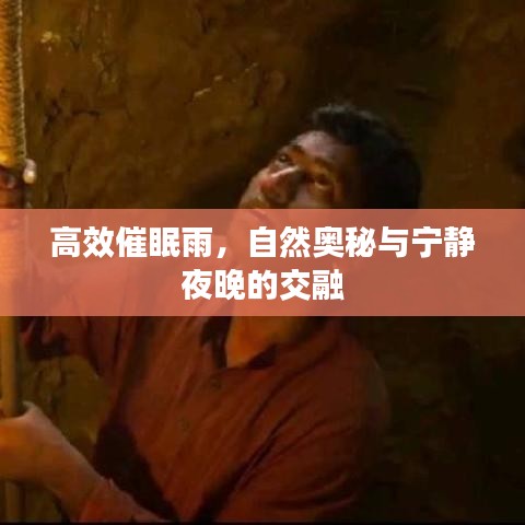 高效催眠雨，自然奥秘与宁静夜晚的交融