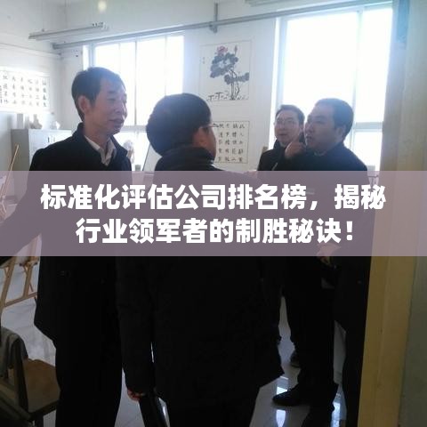 标准化评估公司排名榜，揭秘行业领军者的制胜秘诀！