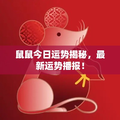 鼠鼠今日运势揭秘，最新运势播报！