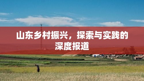 山东乡村振兴，探索与实践的深度报道