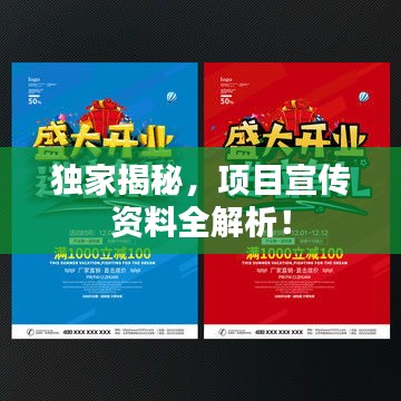 独家揭秘，项目宣传资料全解析！