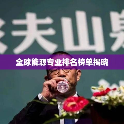全球能源专业排名榜单揭晓