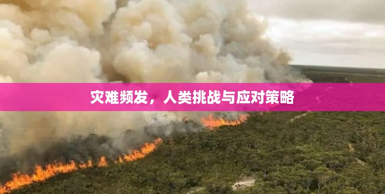 灾难频发，人类挑战与应对策略