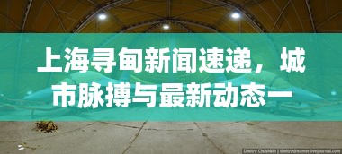 上海寻甸新闻速递，城市脉搏与最新动态一网打尽