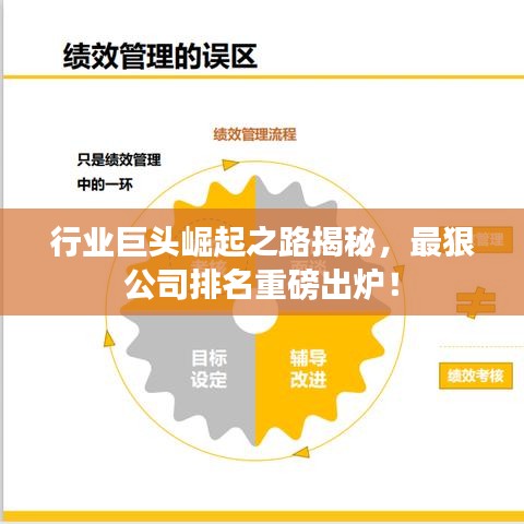 行业巨头崛起之路揭秘，最狠公司排名重磅出炉！